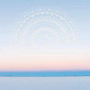 Meet your Posher, Shauna